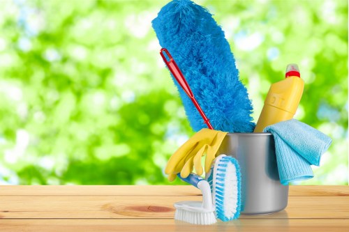 Local cleaners providing domestic and commercial cleaning in Balham