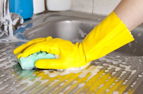 Specialist oven and upholstery cleaning support