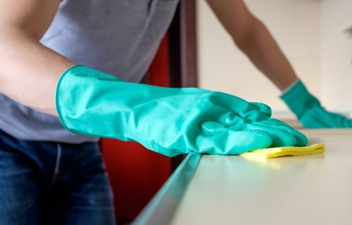 Deep cleaning oven trays, racks, and glass in Balham