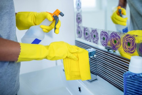 Reusable cleaning tools and separated recyclables during a Balham deep cleaning job