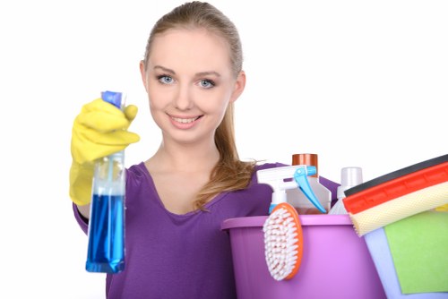 Accessibility-focused image for Deep Cleaning Balham website support