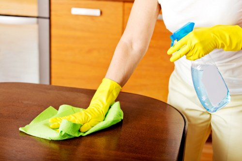 Regular housekeeping support for a flat in Balham